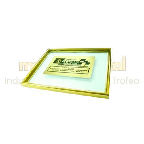 Imagen de Placa de reconocimiento - M3.113